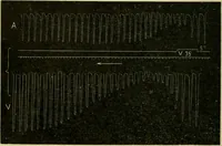 Picture 51 of 351 from A manual of physiology : with practical exercises / by G. N. Stewart ; with coloured plate and 467 other illustrations. (1914), leaf 184