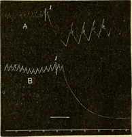 An illustration from A manual of physiology : with practical exercises / by G. N. Stewart ; with coloured plate and 467 other illustrations. (1914)