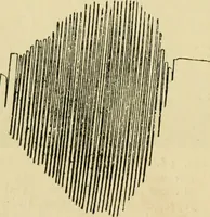 An illustration from A manual of physiology : with practical exercises / by G. N. Stewart ; with coloured plate and 467 other illustrations. (1914)