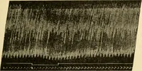 Picture 56 of 351 from A manual of physiology : with practical exercises / by G. N. Stewart ; with coloured plate and 467 other illustrations. (1914), leaf 193