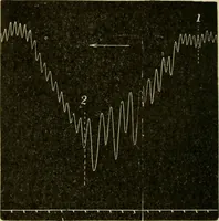 Picture 58 of 351 from A manual of physiology : with practical exercises / by G. N. Stewart ; with coloured plate and 467 other illustrations. (1914), leaf 208