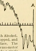 Picture 62 of 351 from A manual of physiology : with practical exercises / by G. N. Stewart ; with coloured plate and 467 other illustrations. (1914), leaf 213