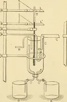 An illustration from A manual of physiology : with practical exercises / by G. N. Stewart ; with coloured plate and 467 other illustrations. (1914)