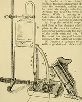 Picture 70 of 351 from A manual of physiology : with practical exercises / by G. N. Stewart ; with coloured plate and 467 other illustrations. (1914), leaf 226