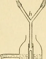 An illustration from A manual of physiology : with practical exercises / by G. N. Stewart ; with coloured plate and 467 other illustrations. (1914)