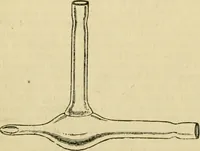An illustration from A manual of physiology : with practical exercises / by G. N. Stewart ; with coloured plate and 467 other illustrations. (1914)