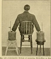 Picture 80 of 351 from A manual of physiology : with practical exercises / by G. N. Stewart ; with coloured plate and 467 other illustrations. (1914), leaf 243