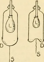 An illustration from A manual of physiology : with practical exercises / by G. N. Stewart ; with coloured plate and 467 other illustrations. (1914)