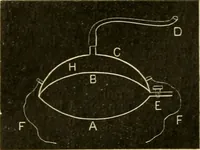 An illustration from A manual of physiology : with practical exercises / by G. N. Stewart ; with coloured plate and 467 other illustrations. (1914)