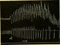 Picture 85 of 351 from A manual of physiology : with practical exercises / by G. N. Stewart ; with coloured plate and 467 other illustrations. (1914), leaf 260
