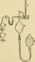 An illustration from A manual of physiology : with practical exercises / by G. N. Stewart ; with coloured plate and 467 other illustrations. (1914)