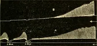 Picture 92 of 351 from A manual of physiology : with practical exercises / by G. N. Stewart ; with coloured plate and 467 other illustrations. (1914), leaf 289