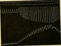 An illustration from A manual of physiology : with practical exercises / by G. N. Stewart ; with coloured plate and 467 other illustrations. (1914)