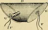 An illustration from A manual of physiology : with practical exercises / by G. N. Stewart ; with coloured plate and 467 other illustrations. (1914)