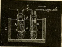 An illustration from A manual of physiology : with practical exercises / by G. N. Stewart ; with coloured plate and 467 other illustrations. (1914)