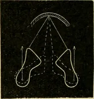An illustration from A manual of physiology : with practical exercises / by G. N. Stewart ; with coloured plate and 467 other illustrations. (1914)