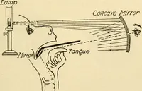 An illustration from A manual of physiology : with practical exercises / by G. N. Stewart ; with coloured plate and 467 other illustrations. (1914)