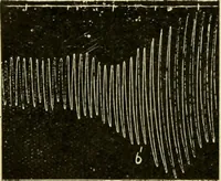 An illustration from A manual of physiology : with practical exercises / by G. N. Stewart ; with coloured plate and 467 other illustrations. (1914)