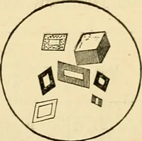 An illustration from A manual of physiology : with practical exercises / by G. N. Stewart ; with coloured plate and 467 other illustrations. (1914)