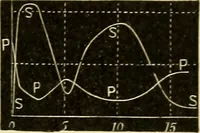 An illustration from A manual of physiology : with practical exercises / by G. N. Stewart ; with coloured plate and 467 other illustrations. (1914)