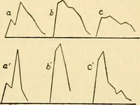 Picture 126 of 351 from A manual of physiology : with practical exercises / by G. N. Stewart ; with coloured plate and 467 other illustrations. (1914), leaf 431