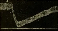 Picture 127 of 351 from A manual of physiology : with practical exercises / by G. N. Stewart ; with coloured plate and 467 other illustrations. (1914), leaf 442