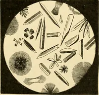 An illustration from A manual of physiology : with practical exercises / by G. N. Stewart ; with coloured plate and 467 other illustrations. (1914)