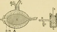 An illustration from A manual of physiology : with practical exercises / by G. N. Stewart ; with coloured plate and 467 other illustrations. (1914)