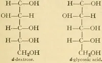 An illustration from A manual of physiology : with practical exercises / by G. N. Stewart ; with coloured plate and 467 other illustrations. (1914)