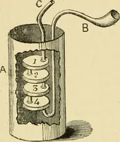 An illustration from A manual of physiology : with practical exercises / by G. N. Stewart ; with coloured plate and 467 other illustrations. (1914)