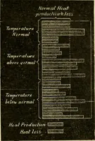 Picture 161 of 351 from A manual of physiology : with practical exercises / by G. N. Stewart ; with coloured plate and 467 other illustrations. (1914), leaf 703