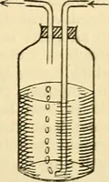 An illustration from A manual of physiology : with practical exercises / by G. N. Stewart ; with coloured plate and 467 other illustrations. (1914)