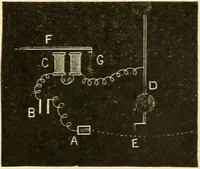 An illustration from A manual of physiology : with practical exercises / by G. N. Stewart ; with coloured plate and 467 other illustrations. (1914)