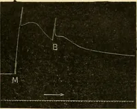 Picture 180 of 351 from A manual of physiology : with practical exercises / by G. N. Stewart ; with coloured plate and 467 other illustrations. (1914), leaf 739