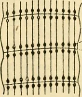 An illustration from A manual of physiology : with practical exercises / by G. N. Stewart ; with coloured plate and 467 other illustrations. (1914)