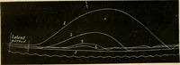An illustration from A manual of physiology : with practical exercises / by G. N. Stewart ; with coloured plate and 467 other illustrations. (1914)