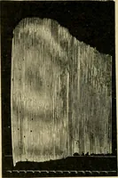 An illustration from A manual of physiology : with practical exercises / by G. N. Stewart ; with coloured plate and 467 other illustrations. (1914)