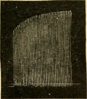 An illustration from A manual of physiology : with practical exercises / by G. N. Stewart ; with coloured plate and 467 other illustrations. (1914)