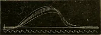 Picture 189 of 351 from A manual of physiology : with practical exercises / by G. N. Stewart ; with coloured plate and 467 other illustrations. (1914), leaf 749
