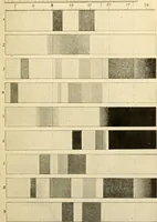 An illustration from A manual of physiology : with practical exercises / by G. N. Stewart ; with coloured plate and 467 other illustrations. (1914)