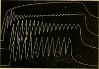 Picture 195 of 351 from A manual of physiology : with practical exercises / by G. N. Stewart ; with coloured plate and 467 other illustrations. (1914), leaf 755