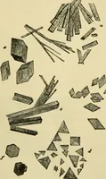 An illustration from A manual of physiology : with practical exercises / by G. N. Stewart ; with coloured plate and 467 other illustrations. (1914)
