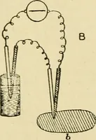 An illustration from A manual of physiology : with practical exercises / by G. N. Stewart ; with coloured plate and 467 other illustrations. (1914)