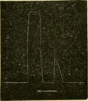 Picture 200 of 351 from A manual of physiology : with practical exercises / by G. N. Stewart ; with coloured plate and 467 other illustrations. (1914), leaf 784