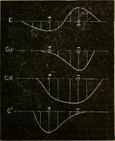 An illustration from A manual of physiology : with practical exercises / by G. N. Stewart ; with coloured plate and 467 other illustrations. (1914)