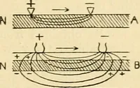 An illustration from A manual of physiology : with practical exercises / by G. N. Stewart ; with coloured plate and 467 other illustrations. (1914)