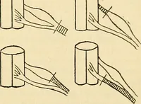 An illustration from A manual of physiology : with practical exercises / by G. N. Stewart ; with coloured plate and 467 other illustrations. (1914)