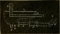 An illustration from A manual of physiology : with practical exercises / by G. N. Stewart ; with coloured plate and 467 other illustrations. (1914)
