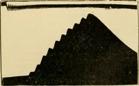 An illustration from A manual of physiology : with practical exercises / by G. N. Stewart ; with coloured plate and 467 other illustrations. (1914)