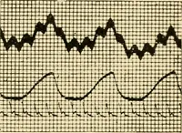 Picture 217 of 351 from A manual of physiology : with practical exercises / by G. N. Stewart ; with coloured plate and 467 other illustrations. (1914), leaf 825